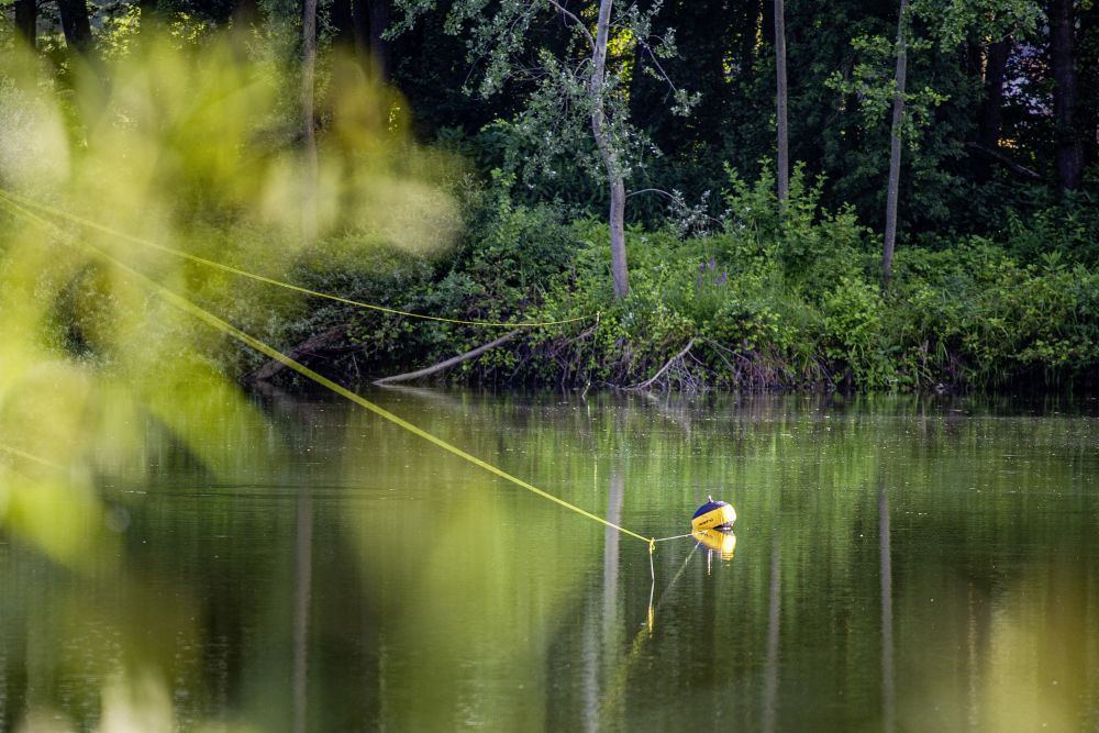 Black Cat S-line Geel