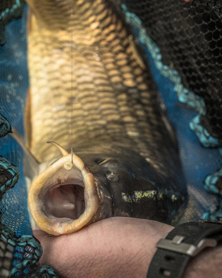 Preston Match Landing Net