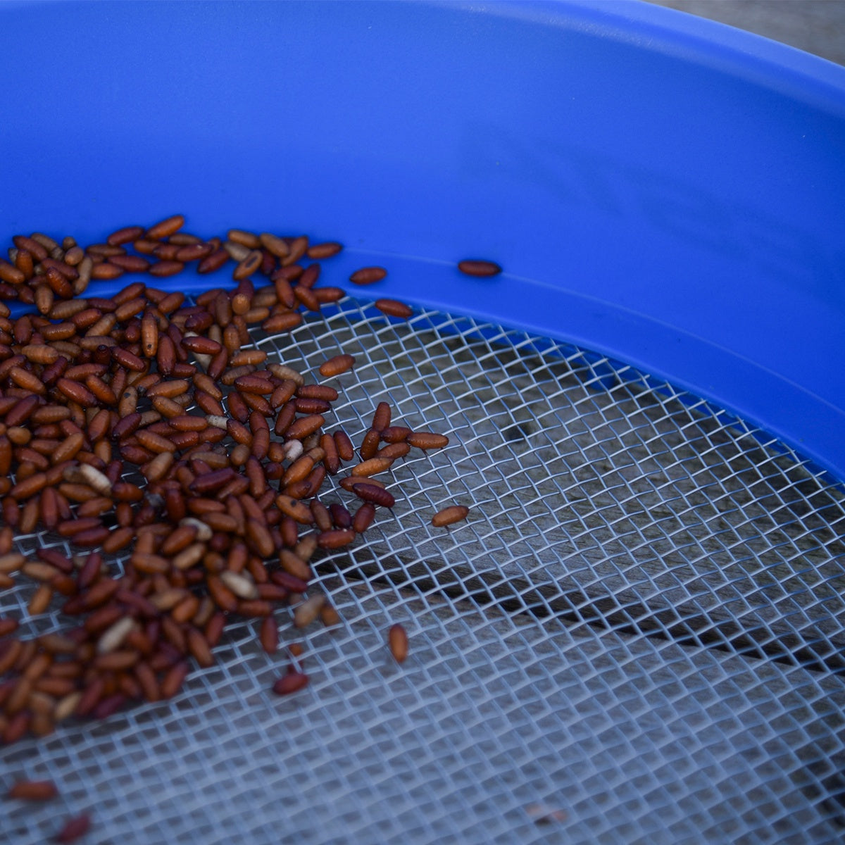 Cresta Supa Riddle Square Mesh