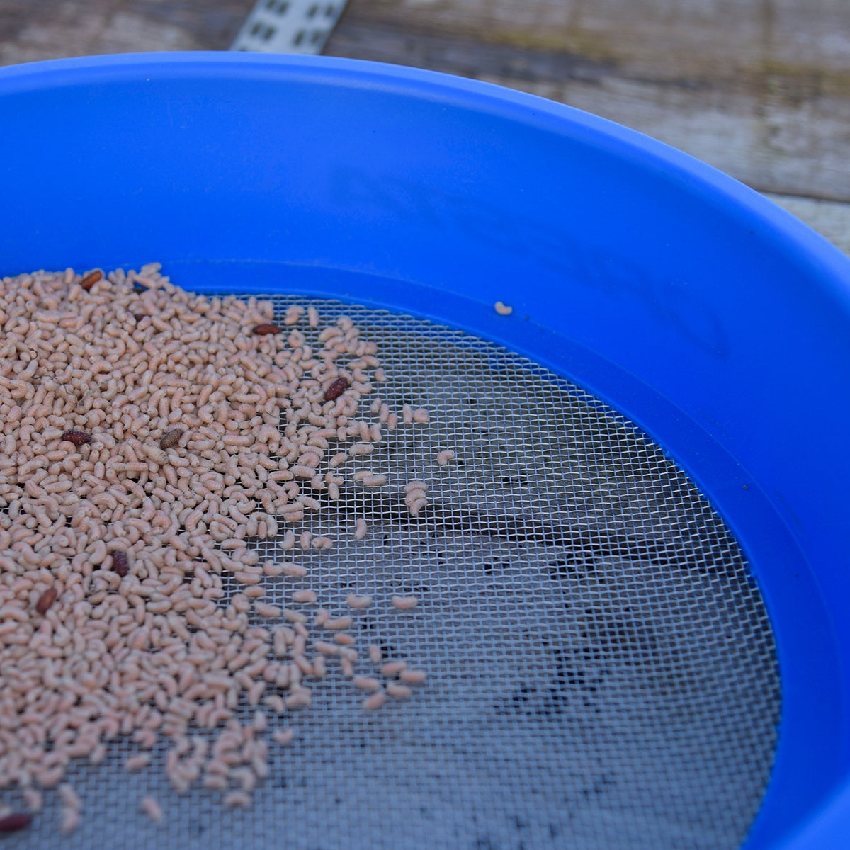 Cresta Supa Riddle Square Mesh