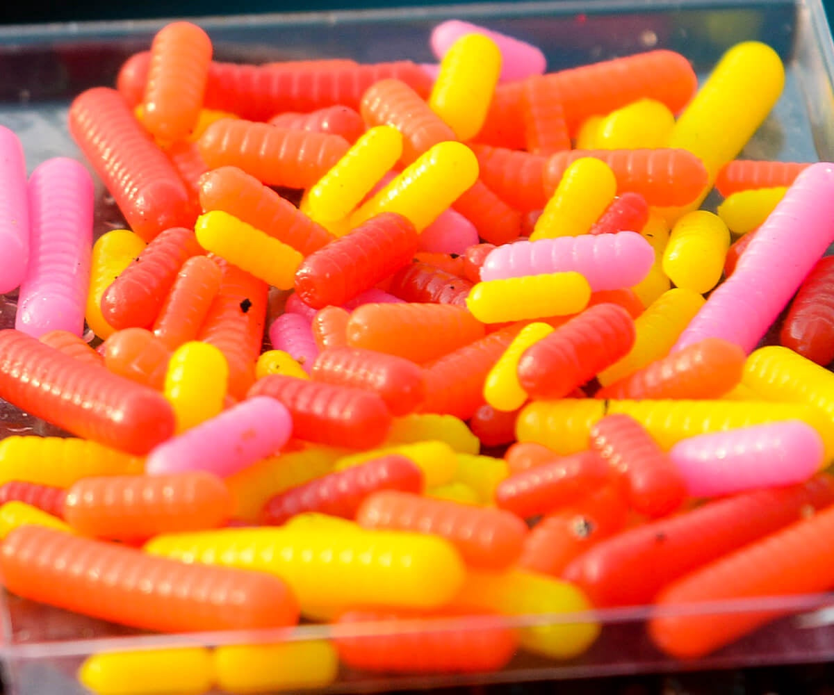 Cresta Spaghetti Worms