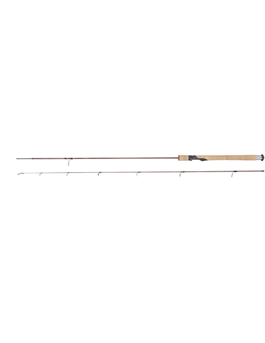 Albatros Specimen Series