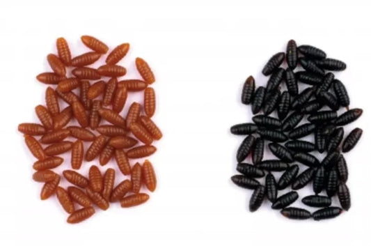 Behr Imitatie Casters