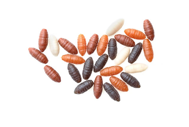 Drennan Buoyant Caster