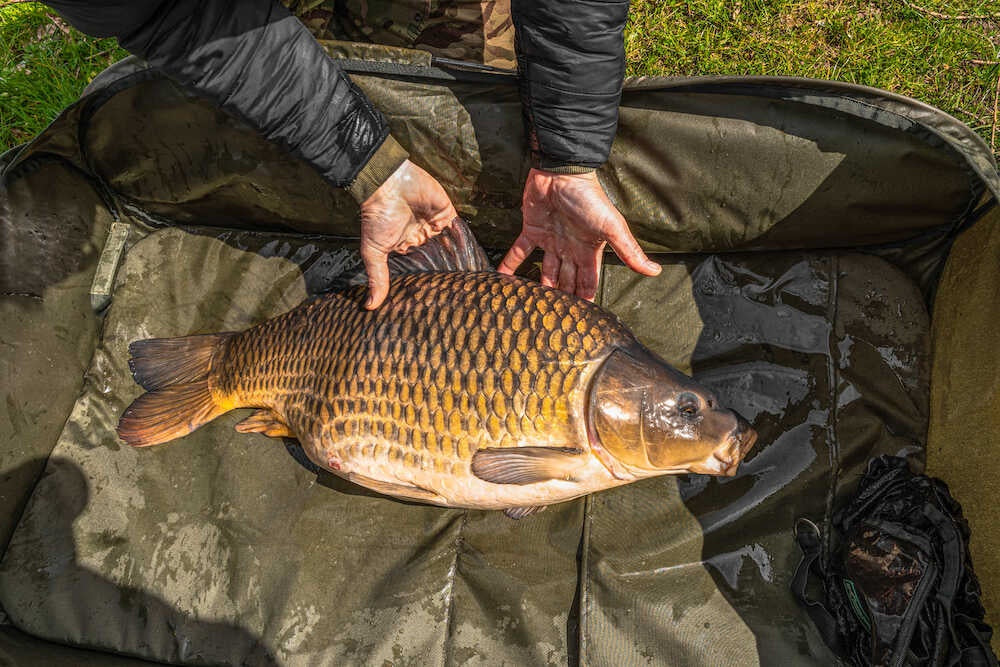 Korum Supa Lite Fast Mat Xl