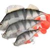 Fox Rage Ultra Naturals Replicant Perch