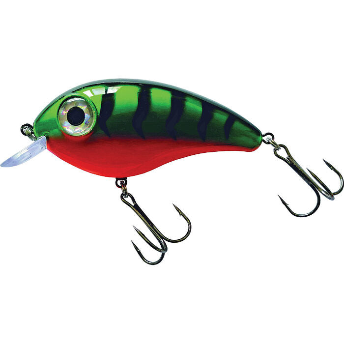 Predox Big Eye Joe