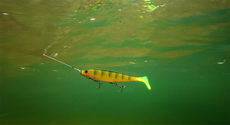 Fox Rage Pro Shad Natural Perch
