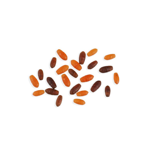 Stonfo Synthetic Casters