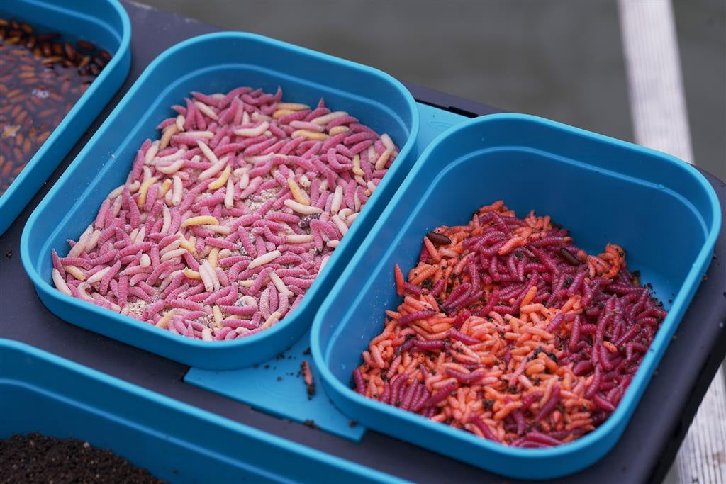 Drennan Dms Bait-seal Box