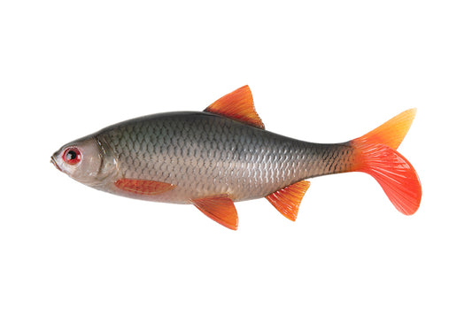 Fox Rage Ultra Realistic Replicant Roach
