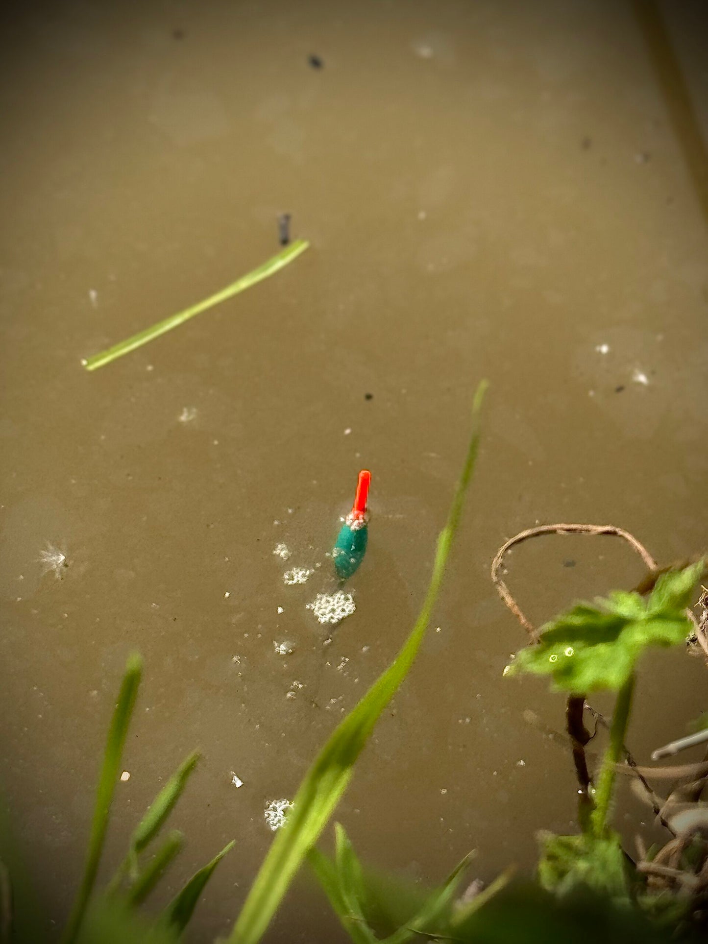 DS Floats – F1 Stealth Edge