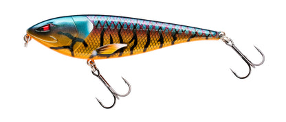 Berkley Zilla Limited Edition Gift Box