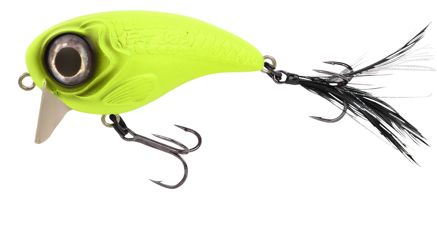 Spro Fat Iris 80