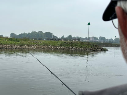 Shimano Purist PX 1 Zander Deadbait 270cm