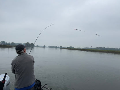Shimano Purist PX 1 Zander Deadbait 270cm