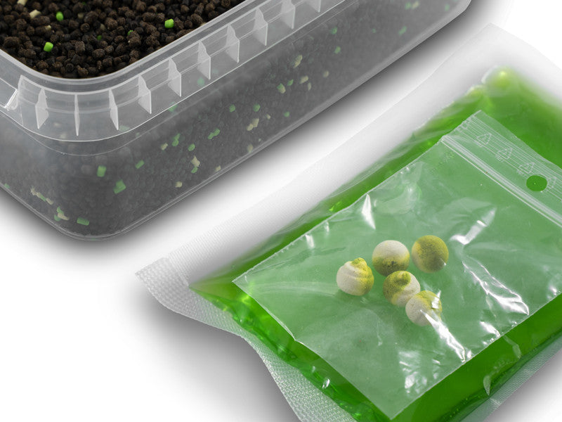 Delphin Pellet Box Ready&Go Garlic-Butyric