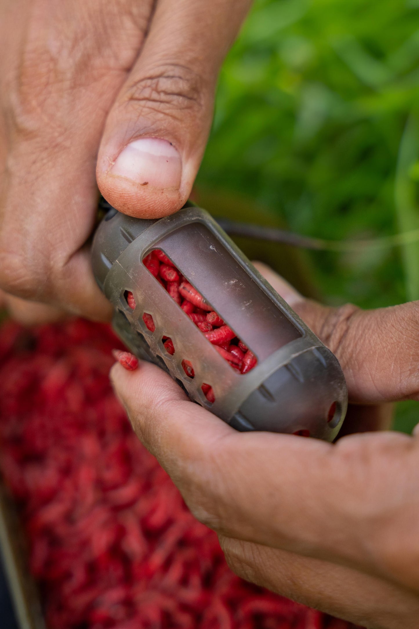 Korum Window Maggot Feeder