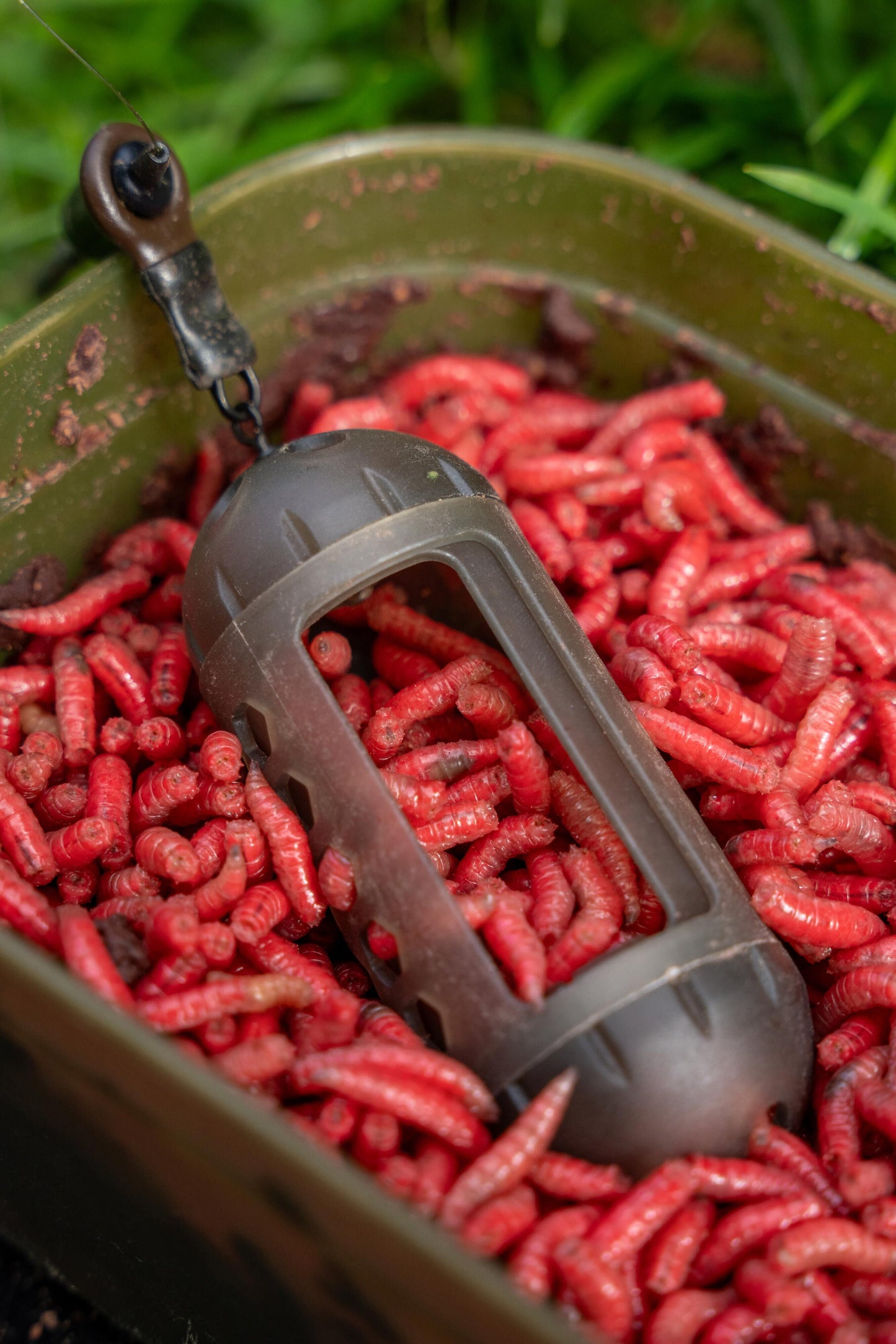 Korum Window Maggot Feeder