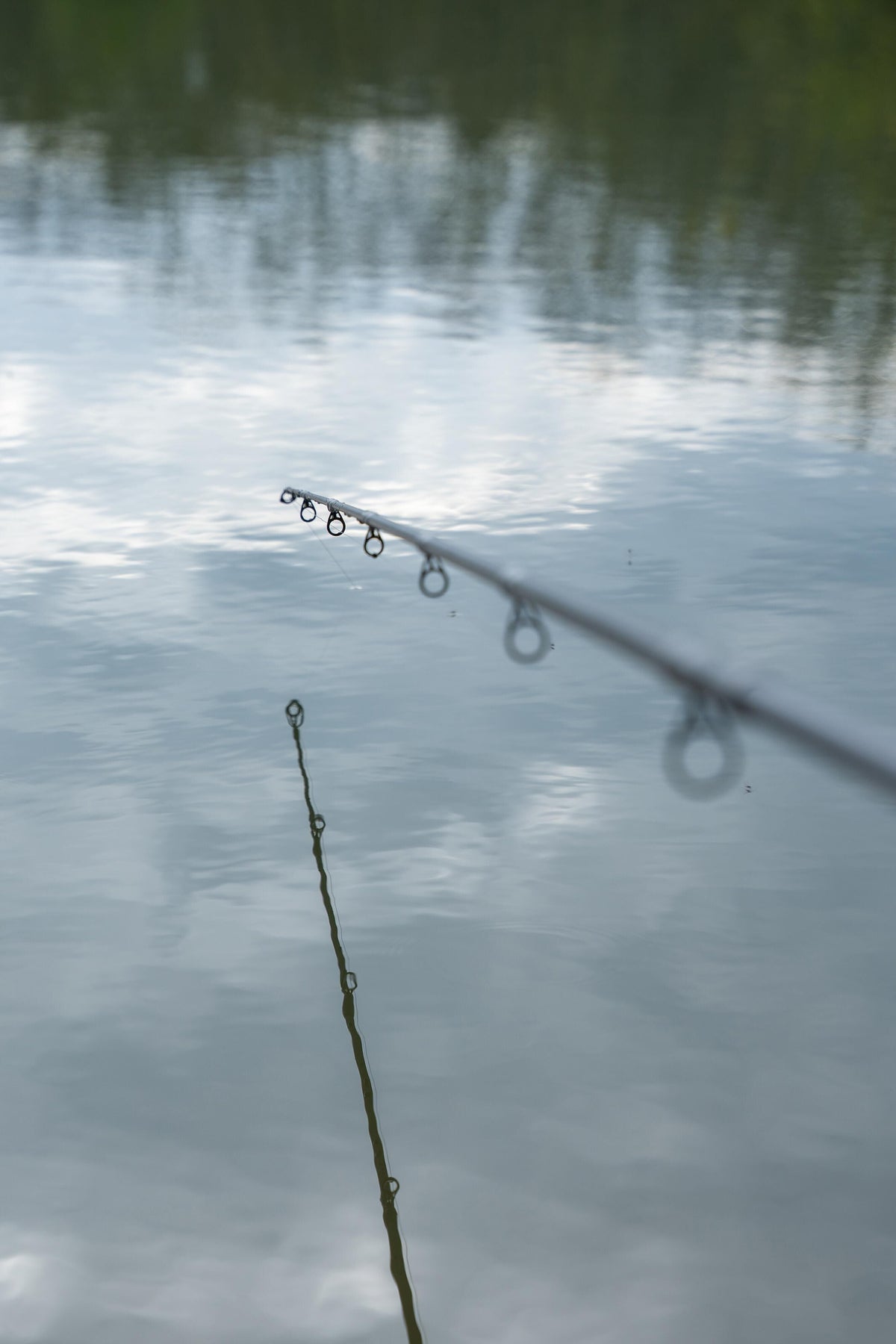 Korum Avon Rod
