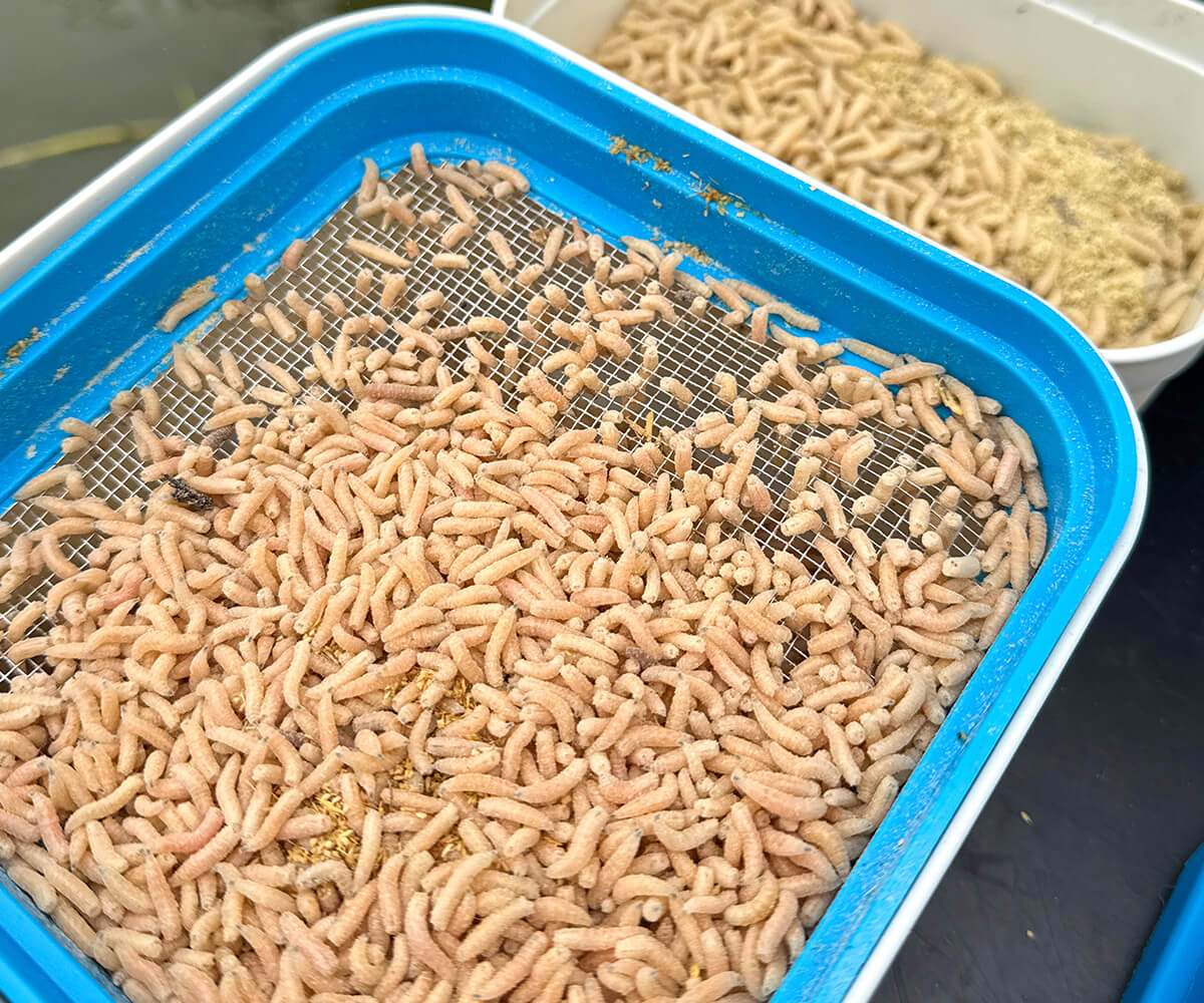 Cresta Bait Tube 1600ml + Metal Riddle