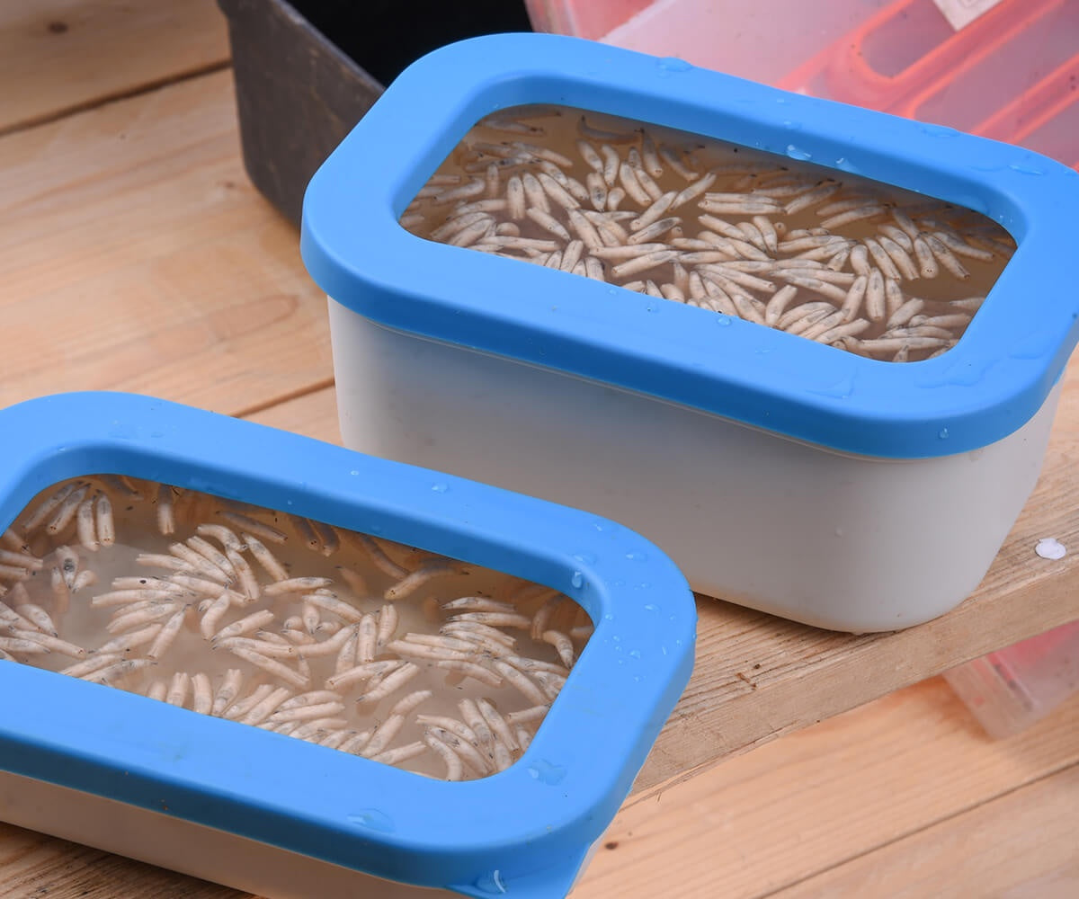 Cresta Baitbox White Open Lid