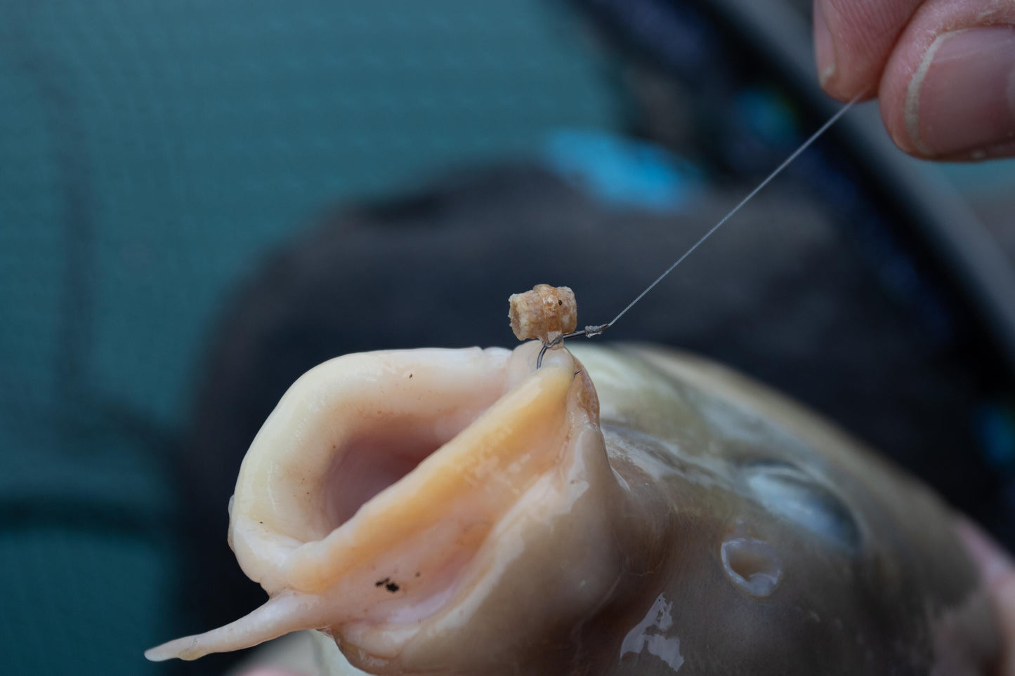 Preston Hookable Bait Bands