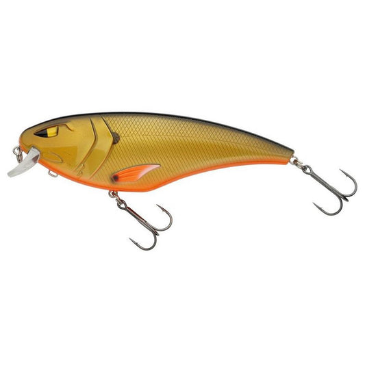 Berkley Flanker