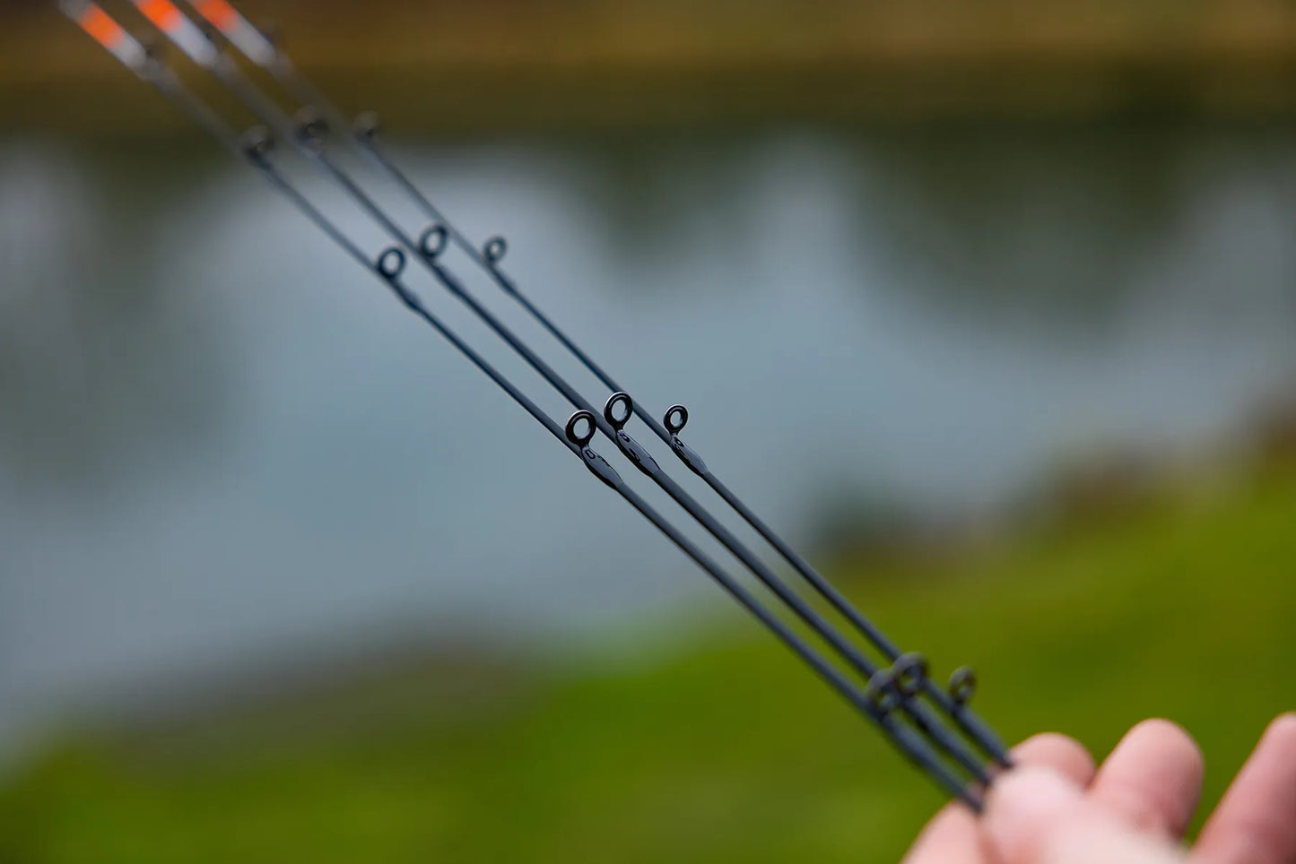 Free Spirit CTX Power Feeder Special