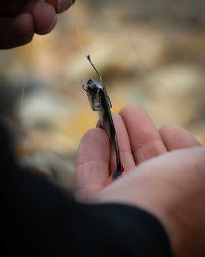 Fox Rage Ultra Natural Fillets Roach