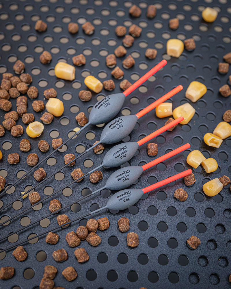 Matrix Carp Steady