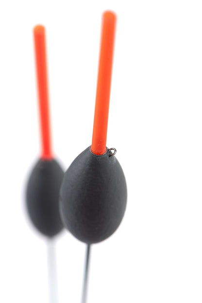 Matrix Carp Steady