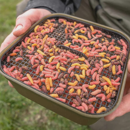 Korum Maggot Tub And Riddle - 2pt/1.2l