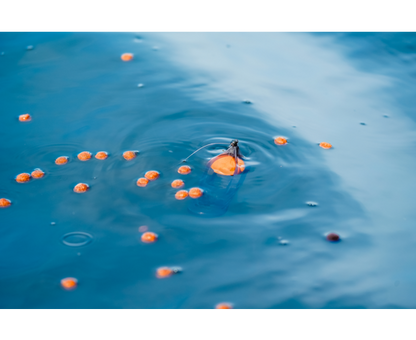 Korum Surface Feeder Float