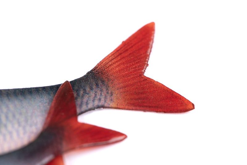Fox Rage Ultra Natural Fillets Roach