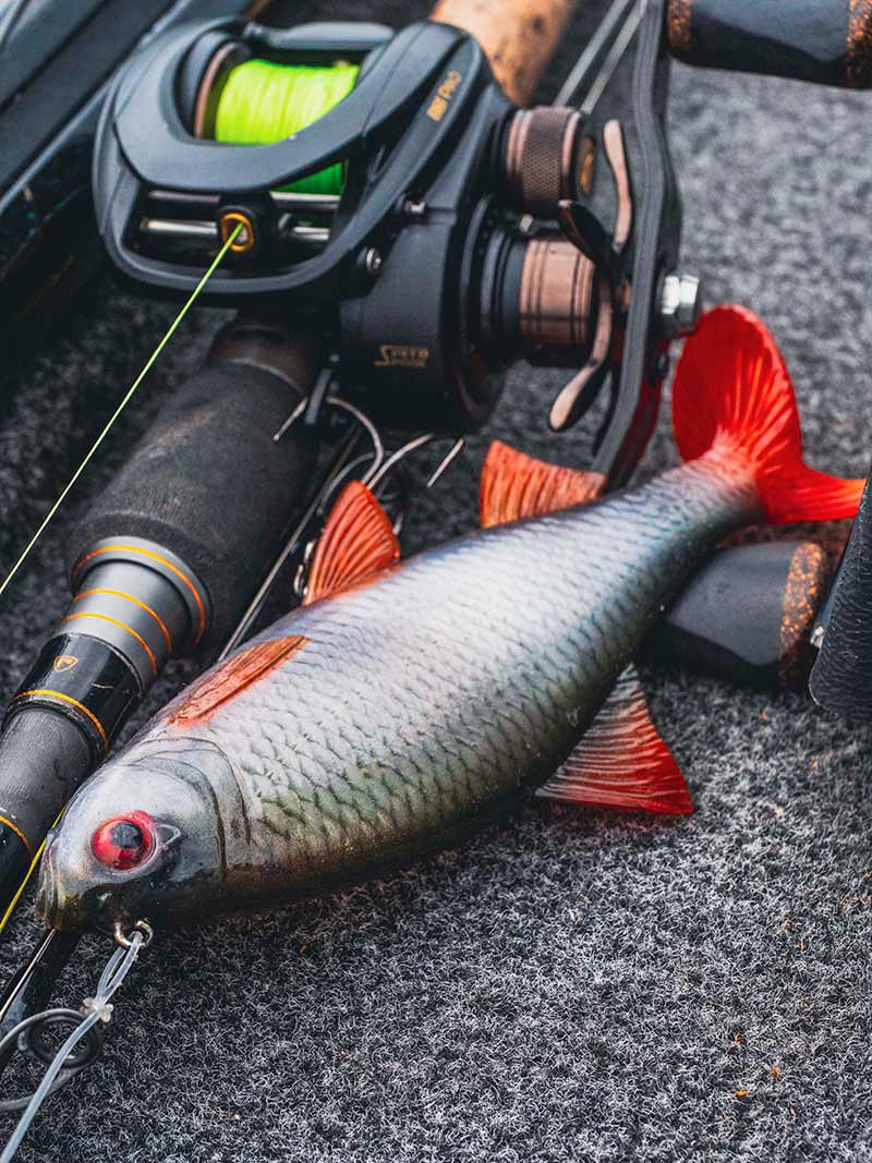 Fox Rage Ultra Naturals Replicant Roach