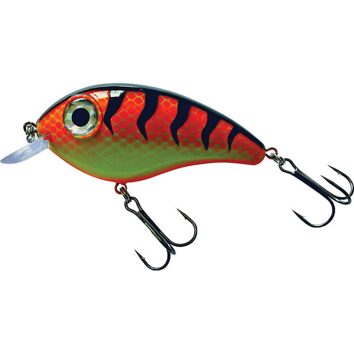 Predox Big Eye Joe