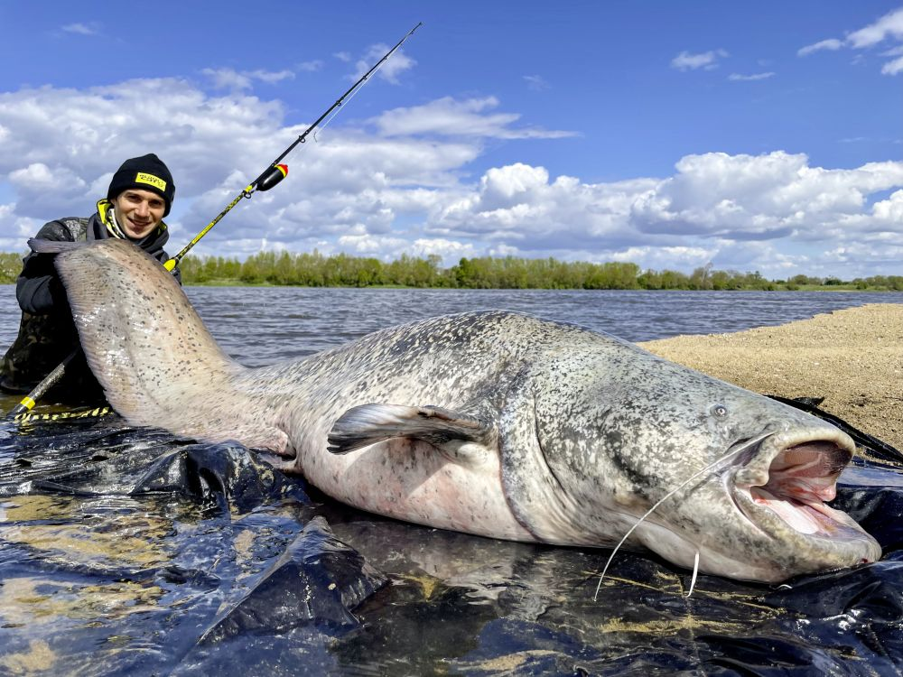 Black Cat Perfect Passion Long Range 3.30 Mtr.