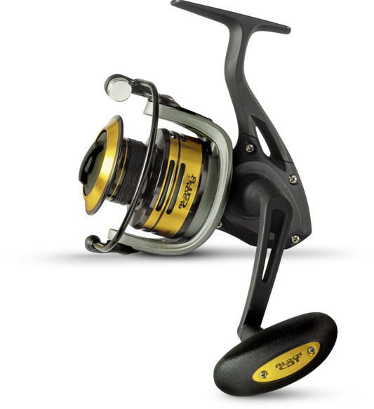 Black Cat Passion Pro