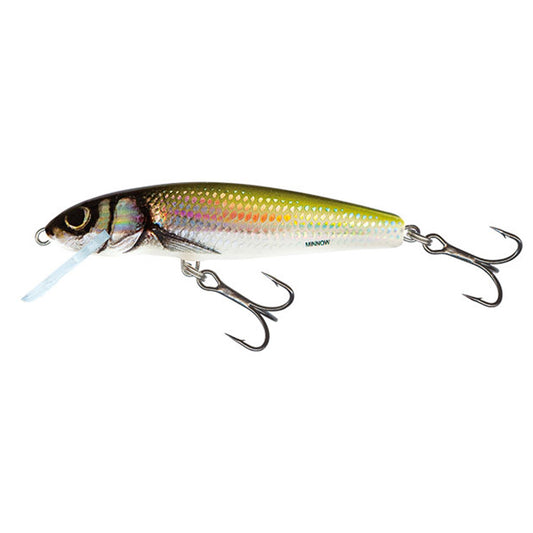 Salmo Minnow Sinking 5 Cm