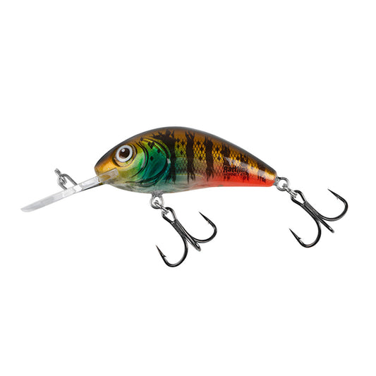 Salmo Rattlin' Hornet
