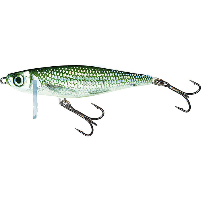 Salmo Thrill